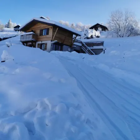 Le Chalet Du Brabant La Bresse Exterior photo